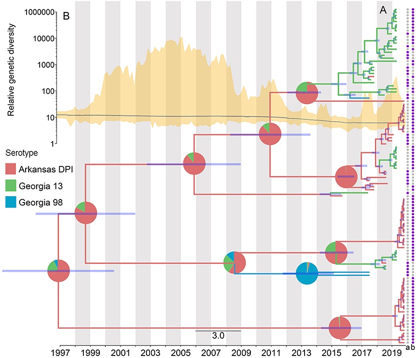 Development of a dissemination platform for spatiotemporal and phylogenetic analysis of avian infectious bronchitis virus
