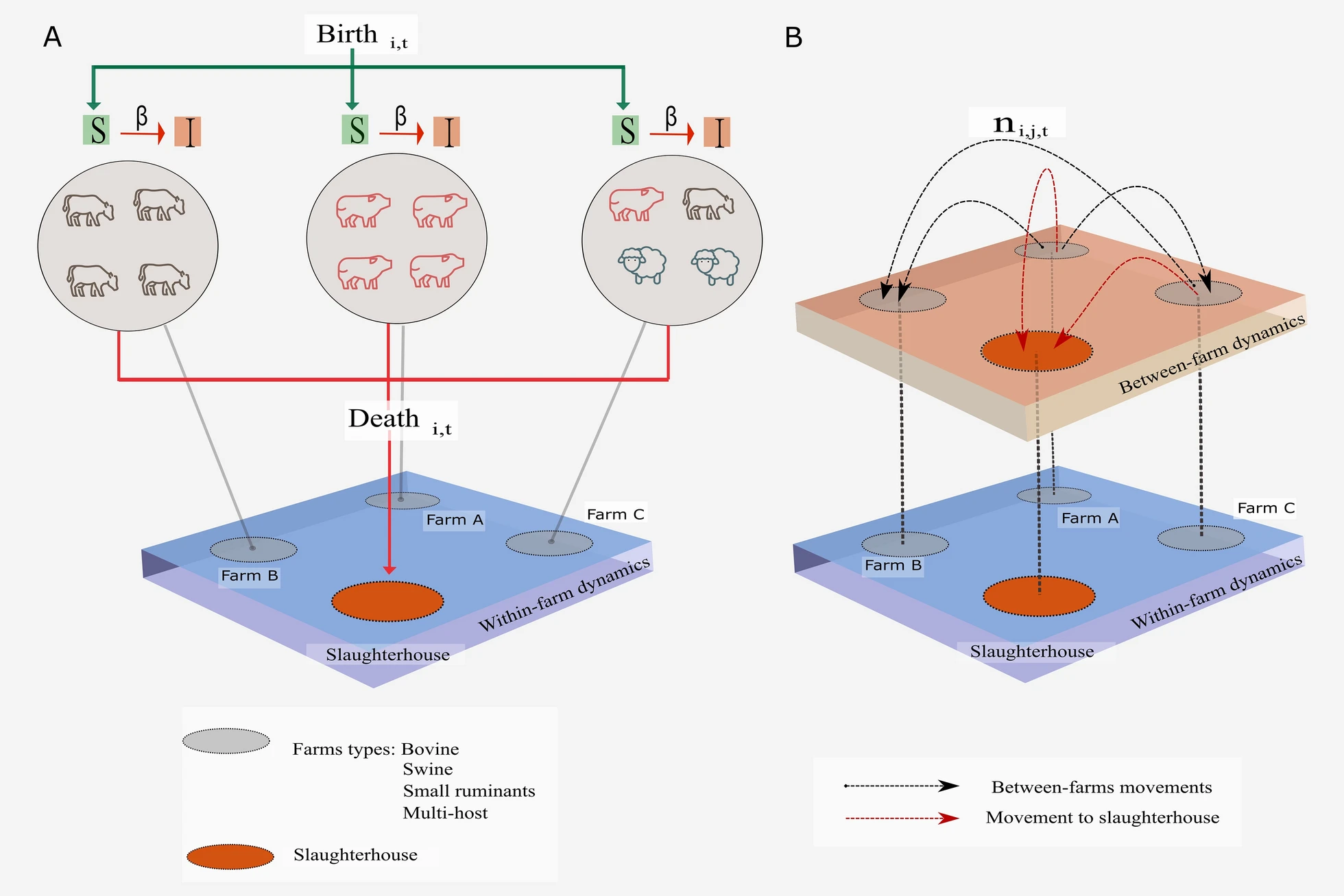Multiple species animal movements: network properties, disease dynamic and the impact of targeted control actions